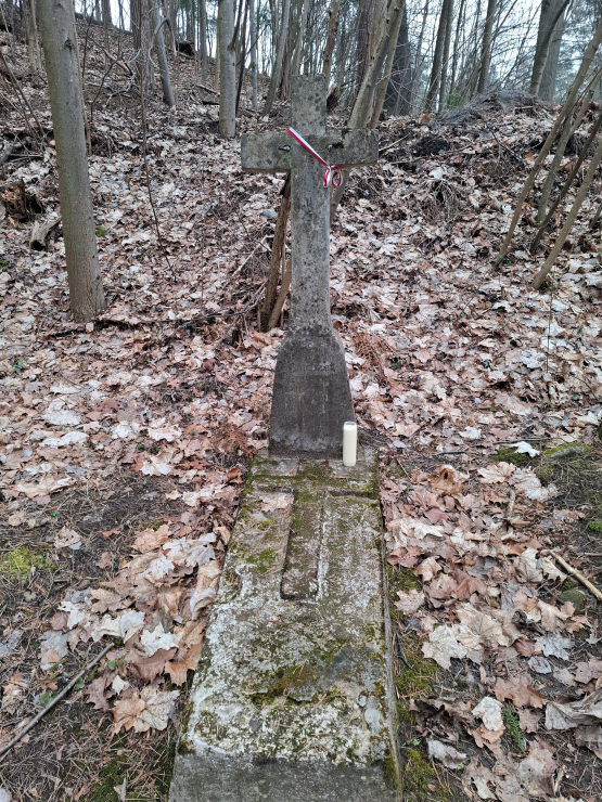 Otwórz galerię (2 fotografii) 