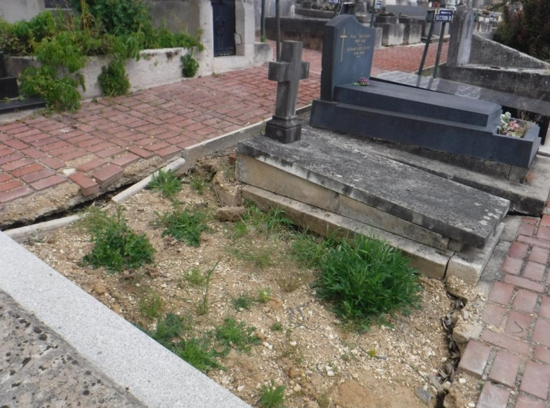 Otwórz galerię (7 fotografii) Nagrobek Matyldy Jaroszyńskiej 