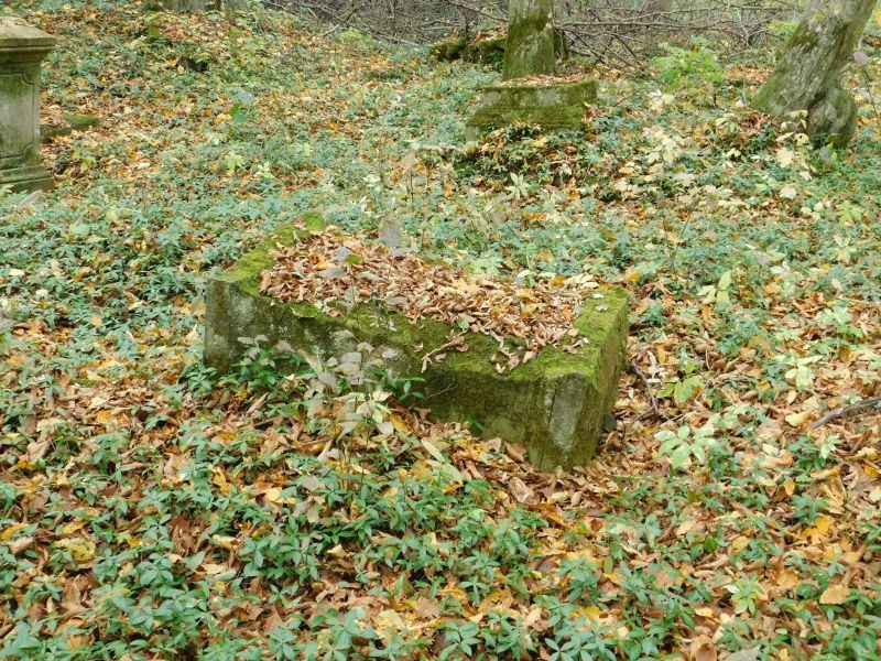 image004