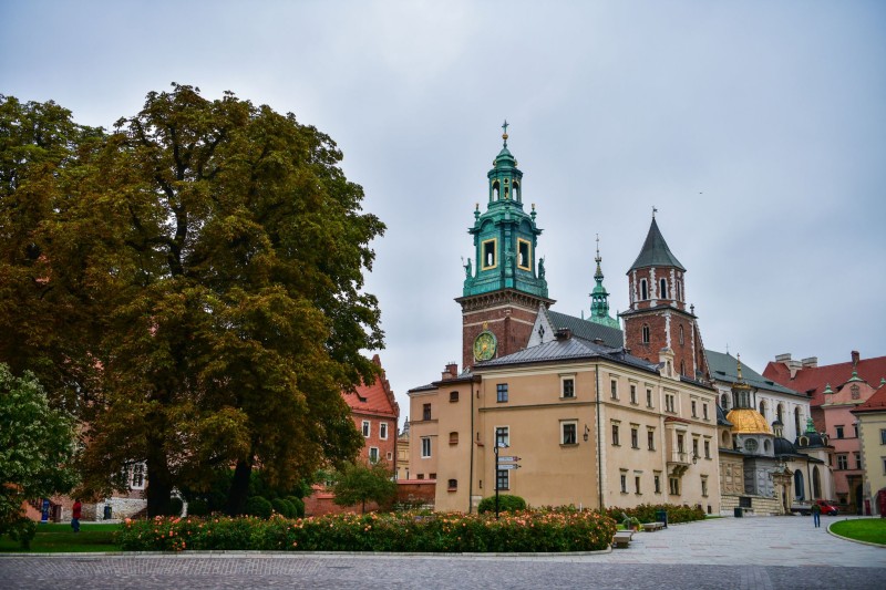 Otwórz galerię (62 fotografii) DSC 9310